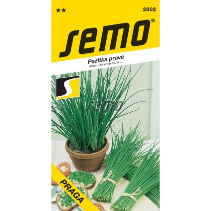 63621 1 pazitka praga drive prazska 1 8g