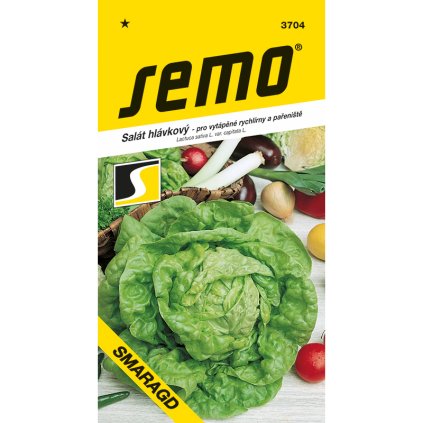 3704 salat hlavkovy smaragd s