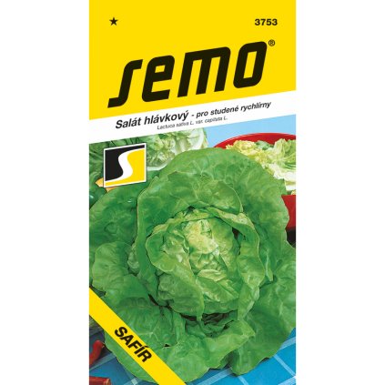 3753 salat hlavkovy safir