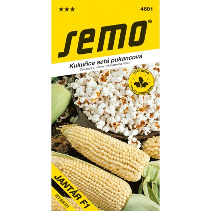 4601 kukurice puk. jantar f1
