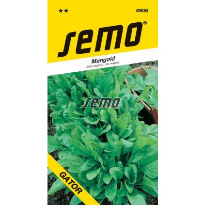 64320 1 mangold perpetual spinach gator zeleny 4g