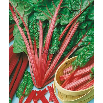 64326 1 mangold rhubarb chard zeleny list cerveny rapik 3g