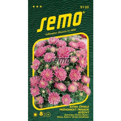 64635 1 astra pruhonicky trpaslik ruzovy cinska 0 3g