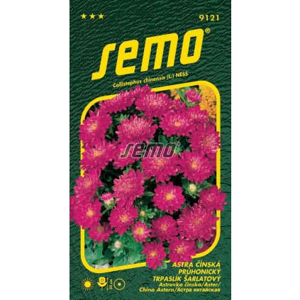 64638 1 astra pruhonicky trpaslik sarlatovy cinska 0 3g