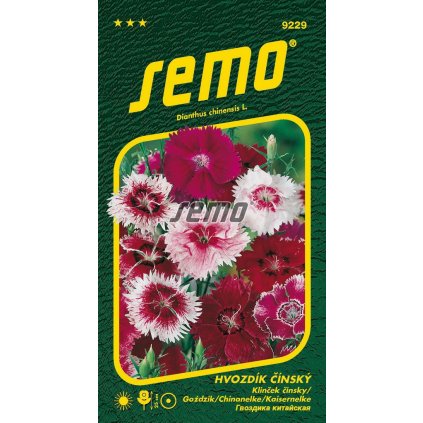 64764 1 hvozdik smes barev cinsky 0 5g