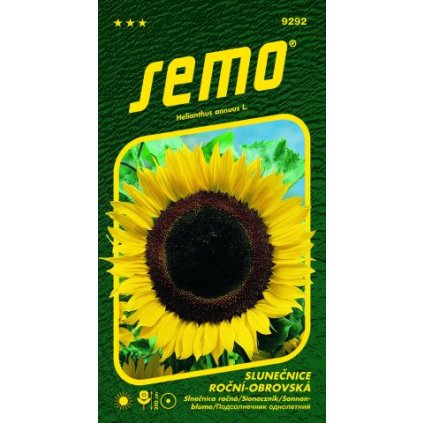 64851 9292 slunecnice rocni obrovska