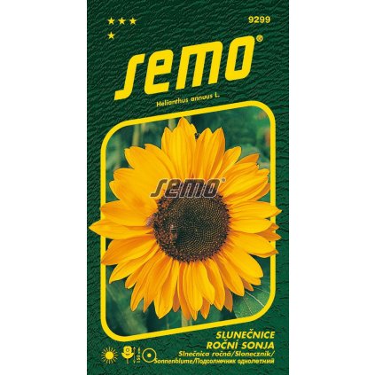 64866 slunecnice sonja rocni 15s