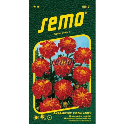 65082 1 aksamitnik carmen rozkladity 1g