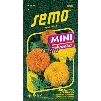 65112 aksamitnik cupidon smes 20cm vzprimeny 0 5g serie mini