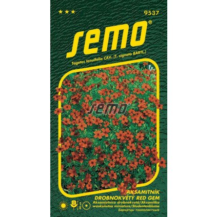 65133 1 aksamitnik cerveny drobnokvety 0 2g