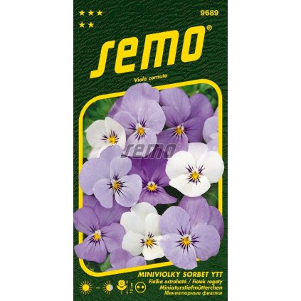 65337 1 miniviolka sorbet ytt 15s