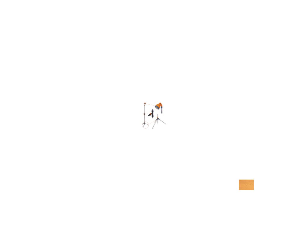 show image in imgtag