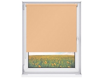 roleta mini 42x150      K804