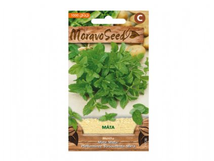 máta peprná