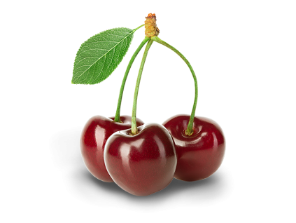 Višne