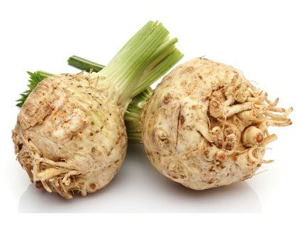 49 fresh celeriac on white background