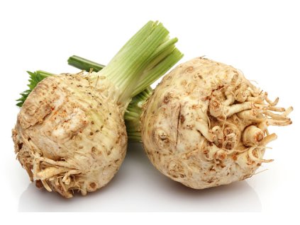 fresh celeriac on white background