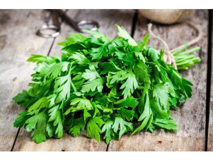 64 peripheral edema treatment parsley 1