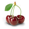 Višne