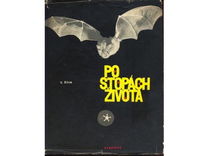 B02747