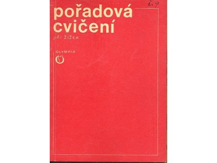 B19481