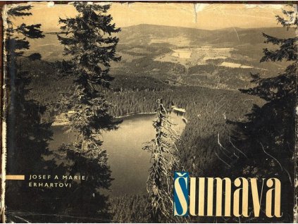 B19084