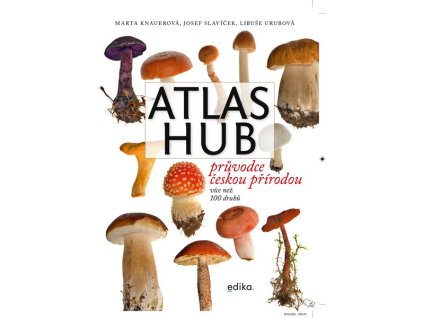 ATLAS HUB  Knauerová Marta