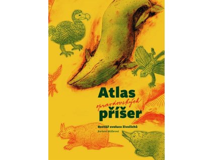 ATLAS OPRAVDOVSKÝCH PŘÍŠER  Müllerová Barbora