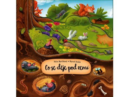 CO SE DĚJE POD ZEMÍ  Bartíková Petra