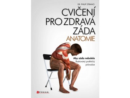 CVIČENÍ PRO ZDRAVÁ ZÁDA - ANATOMIE  Striano Philip Dr.