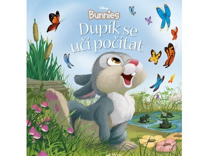 DISNEY BUNNIES - DUPÍK SE UČÍ POČÍTAT