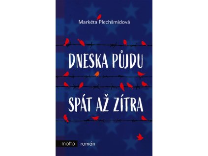 DNESKA PŮJDU SPÁT AŽ ZÍTRA  Plechšmídová Markéta