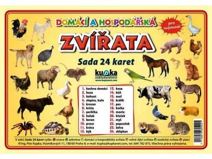 DOMÁCÍ A HOSPODÁŘSKÁ ZVÍŘATA - SADA 24 K  Kupka Petr a kolektiv