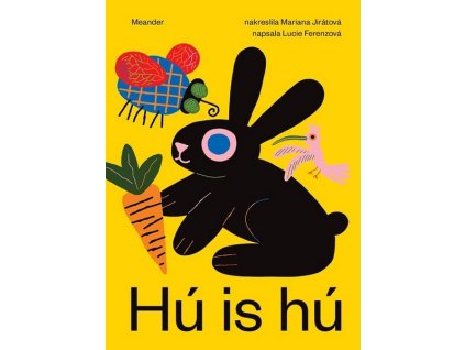 HÚ IS HÚ  Ferenzová Lucie