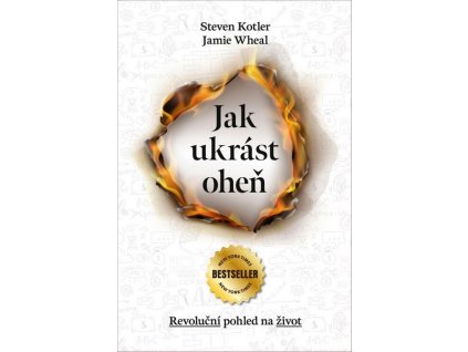 JAK UKRÁST OHEŇ  Kotler Steven, Wheal Jamie