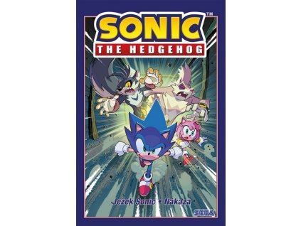 JEŽEK SONIC 4 - NÁKAZA  Flynn Ian