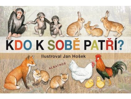 KDO K SOBĚ PATŘÍ  Mikulecká Jana