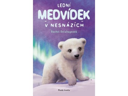 LEDNÍ MEDVÍDEK V NESNÁZÍCH  Delahayeová Rachel