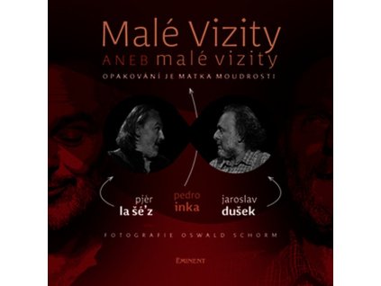 MALÉ VIZITY ANEB MALÉ VIZITY  Dušek Jaroslav,Inka Pedro,Šé´z Pjér la