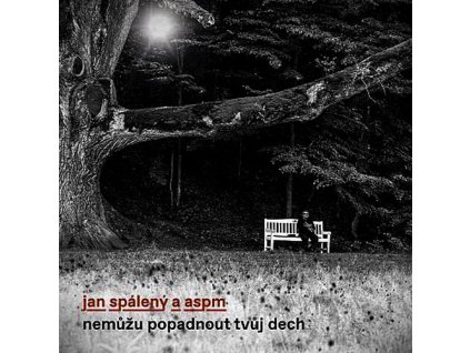 NEMŮŽU POPADNOUT TVŮJ DECH  Spálený Jan a ASPM