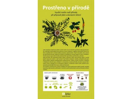 PROSTŘENO V PŘÍRODĚ  Ponížilová Blanka