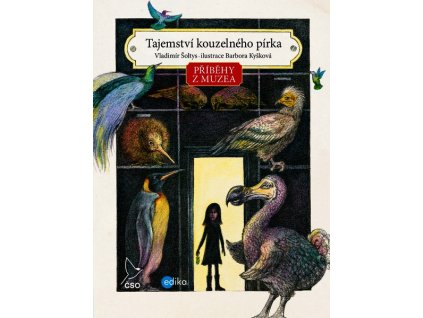 PŘÍBĚHY Z MUZEA. TAJEMSTVÍ KOUZELNÉHO PÍRKA  Šoltys Vladimír