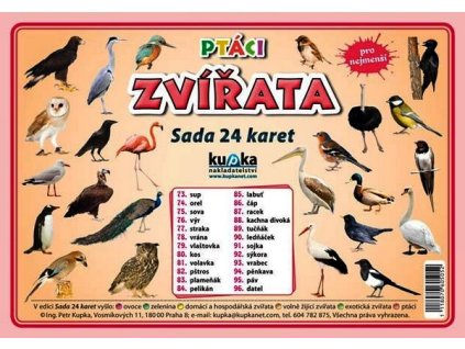PTÁCI ZVÍŘATA - SADA 24 KARET  Kupka Petr a kolektiv