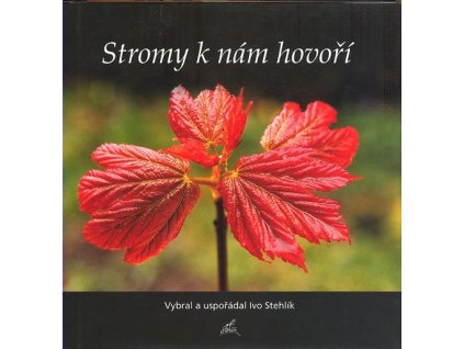 STROMY K NÁM HOVOŘÍ  Stehlík Ivo
