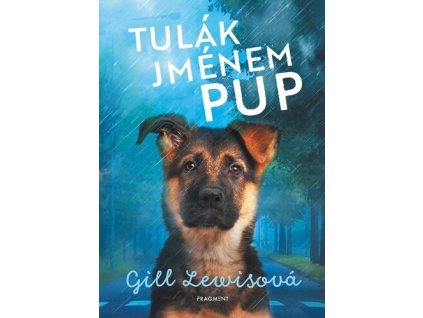 TULÁK JMÉNEM PUP  Lewisová Gill