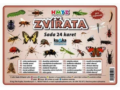 ZVÍŘATA HMYZ - SADA 24 KARET  Kupka Petr a kolektiv