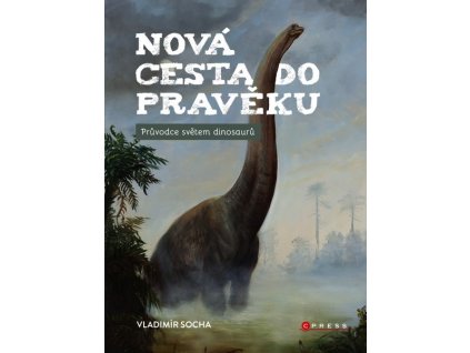 NOVÁ CESTA DO PRAVĚKU  Socha Vladimír