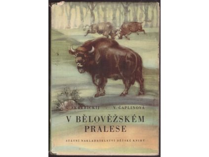 B12029