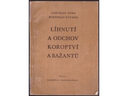 B20413