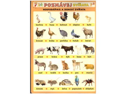 POZNÁVEJ ZVÍŘATA 2